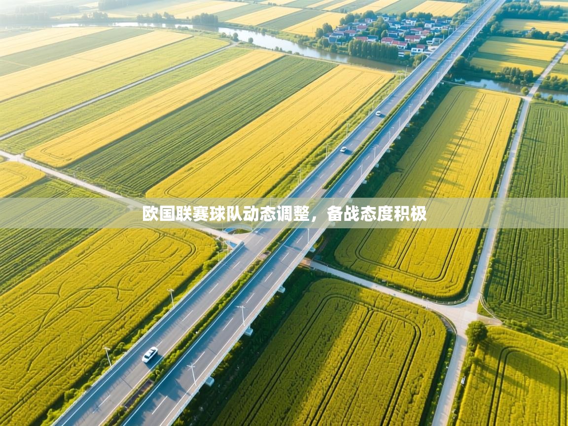 欧国联赛球队动态调整,备战态度积极 第2张